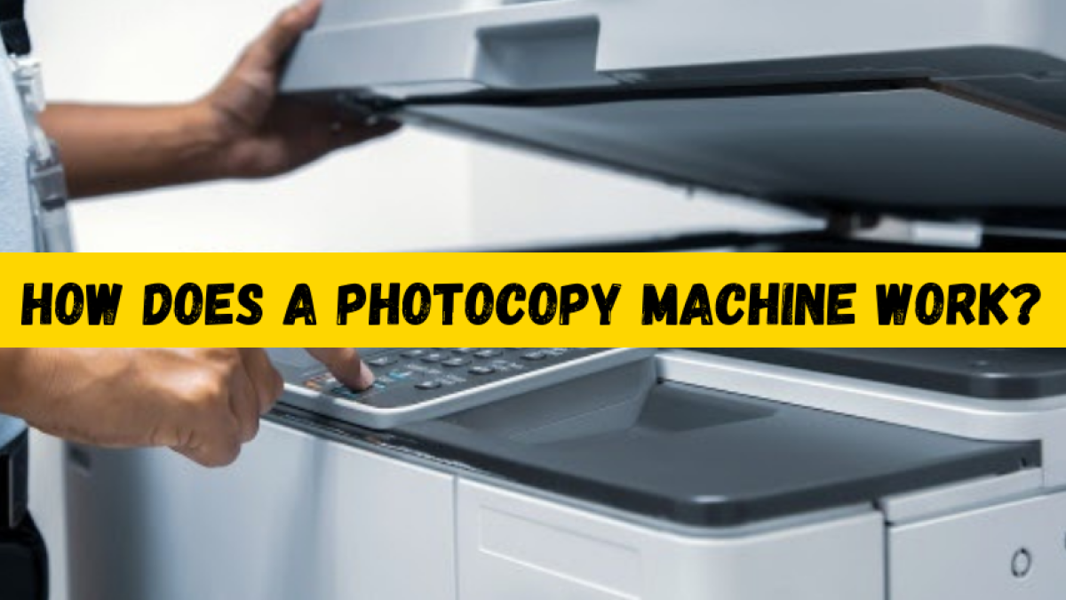17.3 WEBSITE COPIER