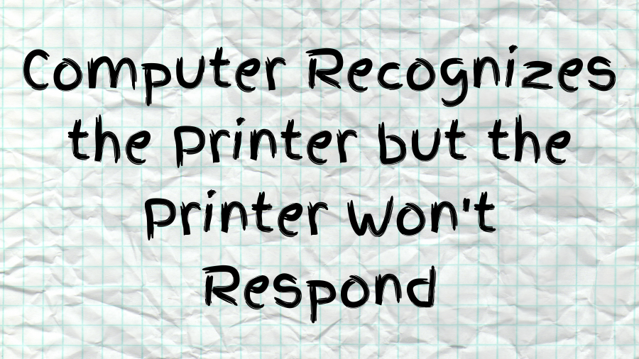 Basic English Class (3)